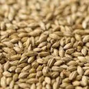 Gladfield Ale Malt