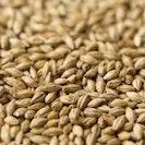Gladfield Ale Malt