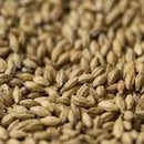 Gladfield AMERICAN Ale Malt