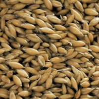 Gladfield BIG O Malt