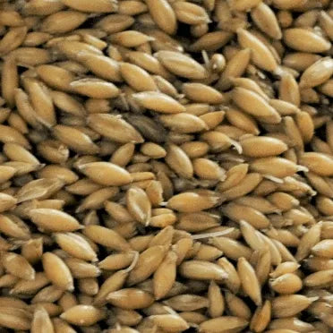 Gladfield BIG O Malt