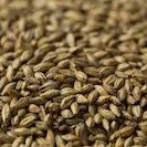 Gladfield Biscuit Malt (also known as Amber Malt)