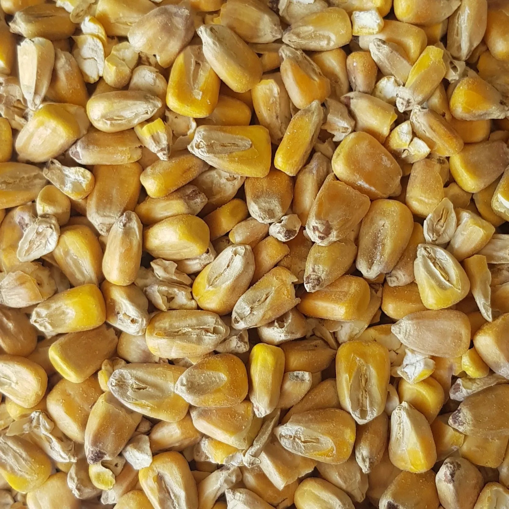 Gladfield Maize Malt (pre crushed)