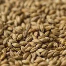 Gladfield MUNICH Malt