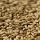 Gladfield PILSNER Malt