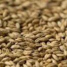 Gladfield PILSNER Malt