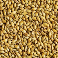 Simpsons Light Crystal Malt (sold by the Kilo or Gram)