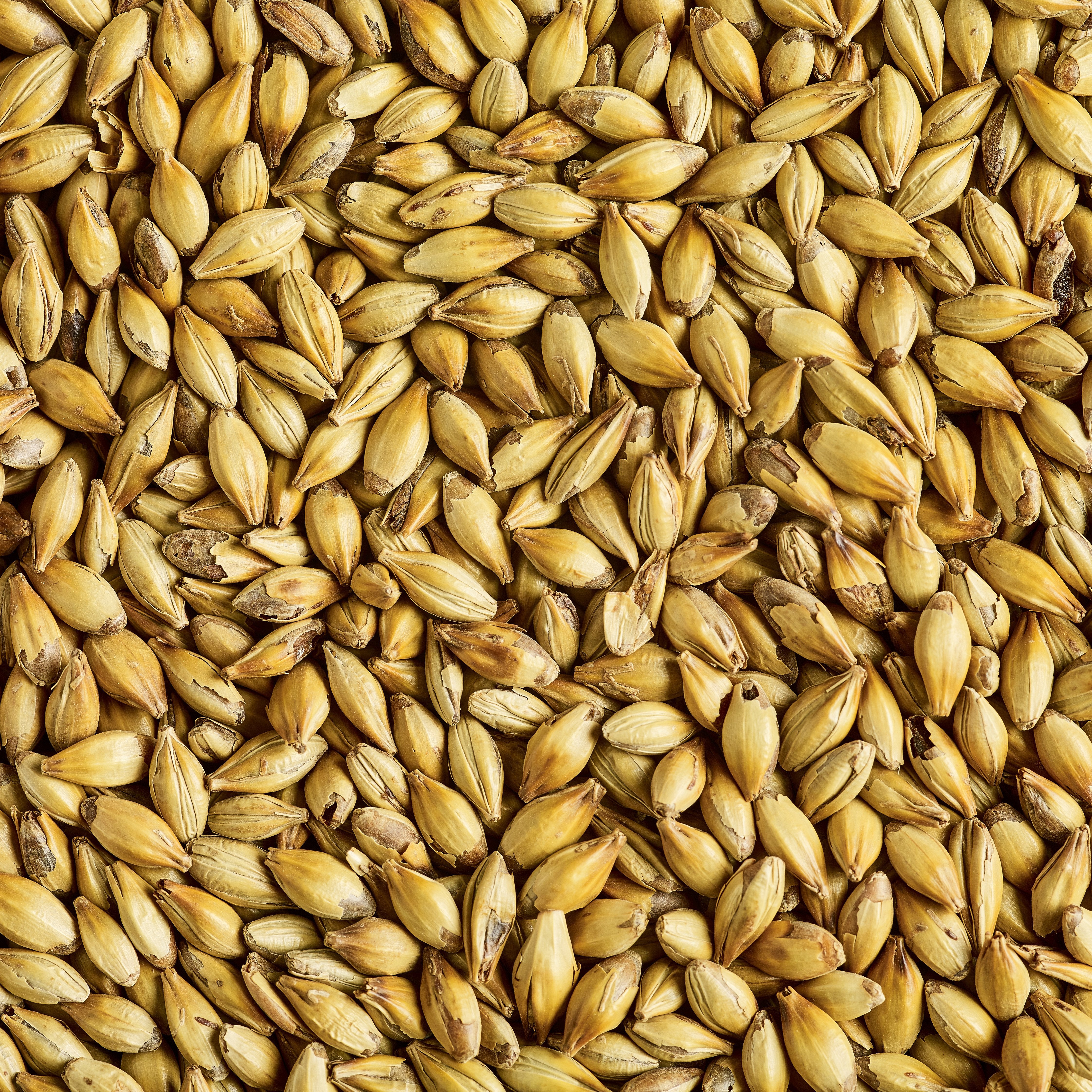 Simpsons Light Crystal Malt (sold by the Kilo or Gram)